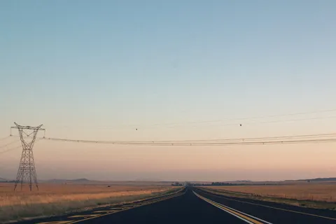 白天，棕色草地之间的道路空旷