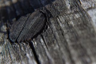 德国，perlacher forst，灰色，棕色，木板，结构，木材，宏观