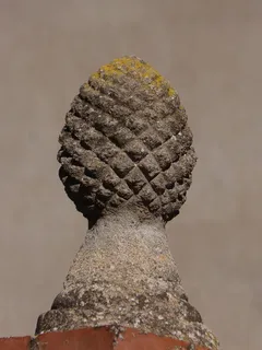 菠萝、建筑、拍卖、立柱、特写、无人、纹理、自然