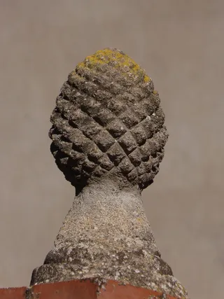 菠萝、建筑、拍卖、立柱、特写、无人、纹理、自然