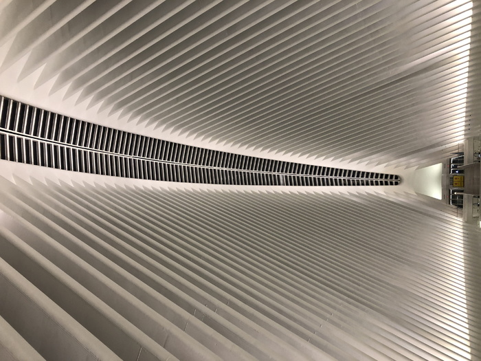 拱形结构室内、建筑、现代建筑、天花板、车站、商场、图案、特写