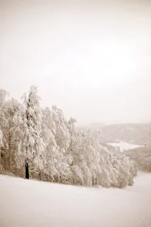 白色、冰、冰、景观、早晨、山脉、自然、户外