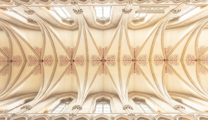 天花板，威尔斯大教堂，建筑，建筑，中世纪，历史，萨默塞特，英国