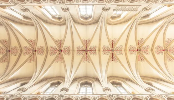 天花板，威尔斯大教堂，建筑，建筑，中世纪，历史，萨默塞特，英国