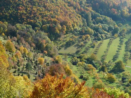 Swabian Alb,屋檐,秋天的颜色,Alb屋檐,果园,heide,kahlenstein,tree Swabian Alb,屋檐,秋天的颜色,Alb屋檐,果园,heide,kahlenstein,tree