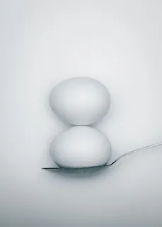简单化的鸡蛋 简单化的鸡蛋