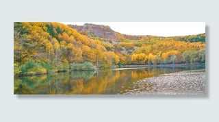 秋天，季节，风景，自然，美丽，背景，户外，枯叶