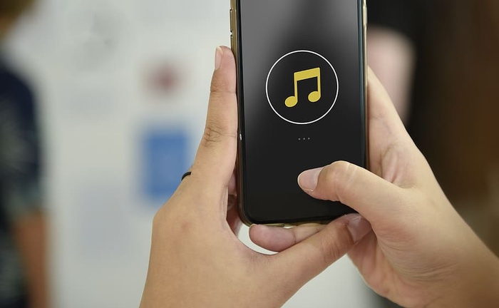 拿着灰色Iphone X和金色外壳的人