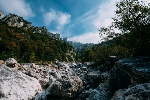 灰色和黑色岩石 灰色和黑色岩石