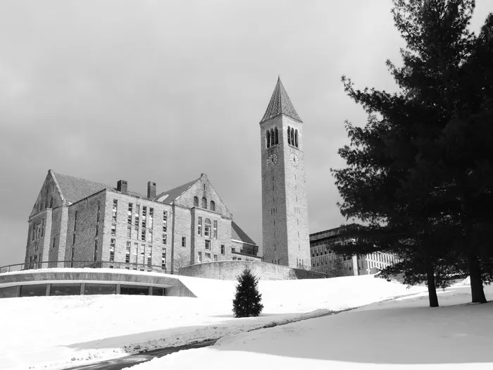 康奈尔大学、学院、大学、康奈尔大学、教育、建筑、联盟