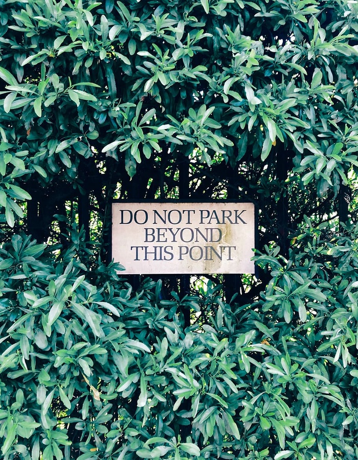 植被、植物、灌木、树木、户外、土地、森林、林地