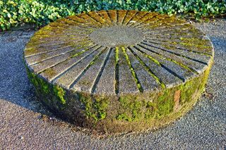 石头，圆石，磨石，装饰，装饰品，图案，苔藓，植物