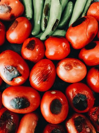 墨西哥、morelia、calle atenas 333、黑色、红色、蔬菜、胡椒、holatania