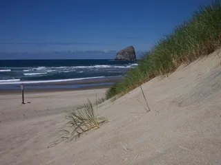 大西洋，海岸，大西洋海岸，俄勒冈州，大西洋，海岸，沙滩，岩石，沙丘