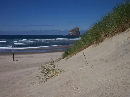 大西洋,海岸,大西洋海岸,俄勒冈州,大西洋,海岸,沙滩,岩石,沙丘 大西洋,海岸,大西洋海岸,俄勒冈州,大西洋,海岸,沙滩,岩石,沙丘
