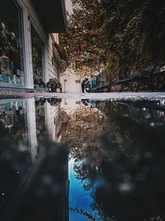水坑 水坑