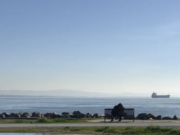 美国, 旧金山, 使命湾, 水, 人, 恋人, 爱, 山