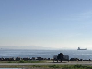 美国, 旧金山, 使命湾, 水, 人, 恋人, 爱, 山