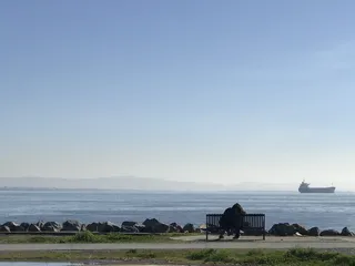 美国, 旧金山, 使命湾, 水, 人, 恋人, 爱, 山