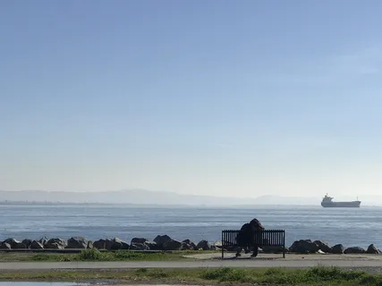 美国, 旧金山, 使命湾, 水, 人, 恋人, 爱, 山 美国, 旧金山, 使命湾, 水, 人, 恋人, 爱, 山
