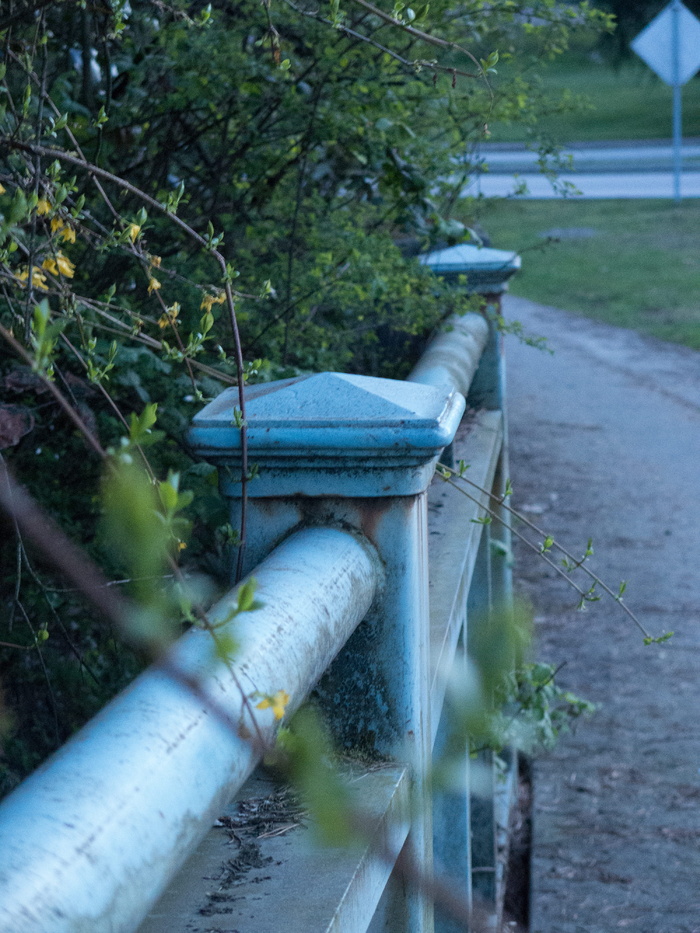 加拿大、萨里、帕图洛大桥、公园、绿地、大桥、人行道、植物