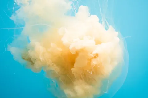 白烟数码壁纸 白烟数码壁纸
