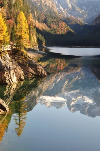 河边岩石峭壁上的树木