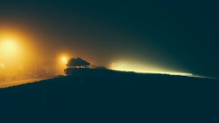 树木的剪影，道路，灯光，夜晚，时间，黑暗，夜晚，雾