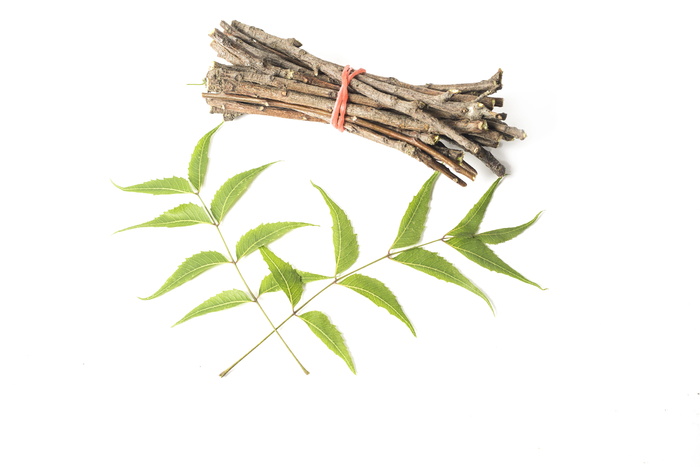 阿育吠陀, 阿育吠陀草药, 美, 科, 咀嚼, 牙科, 牙科保健, 新鲜