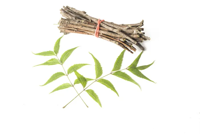 阿育吠陀, 阿育吠陀草药, 美, 科, 咀嚼, 牙科, 牙科保健, 新鲜