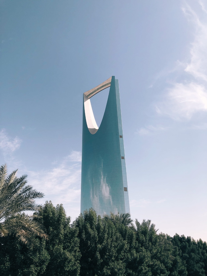 蓝天下树后的高层建筑