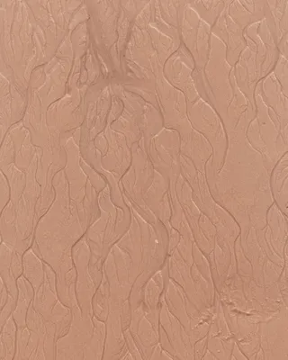 背景，全框架，图案，无人，纹理，沙子，棕色，陆地