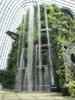 新加坡、云林、建筑、植物、建筑结构、树木、运动、白天