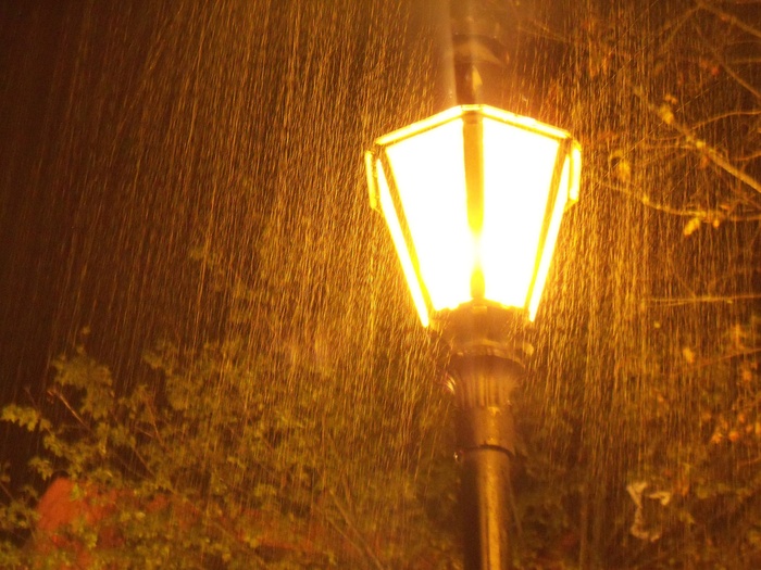 黑色, 户外, 灯柱, 雨, 风暴, 暴风雨, 倾盆大雨