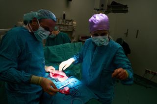 手术、医生、急救、口罩、清洁、血液、临床、工作