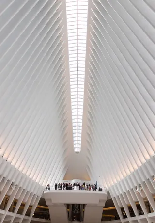 美国纽约市，世界贸易中心交通枢纽，纽约，车站，公共交通，建筑，建筑