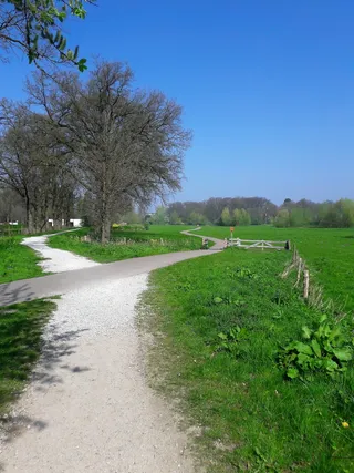 路径、夏季、自然、绿色、景观、选择、蓝色、树木
