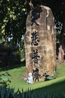 佛、酸、信仰、植物、树、文字、天、自然