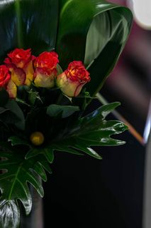 小红玫瑰和黄玫瑰的特写镜头