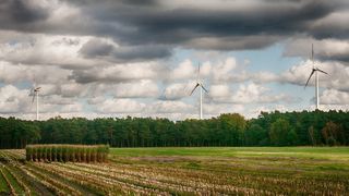 森林, 秋季, 蘑菇, 自然, 秋天的森林, 秋天的颜色, 多彩, 森林地面