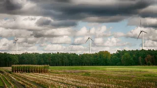 森林, 秋季, 蘑菇, 自然, 秋天的森林, 秋天的颜色, 多彩, 森林地面