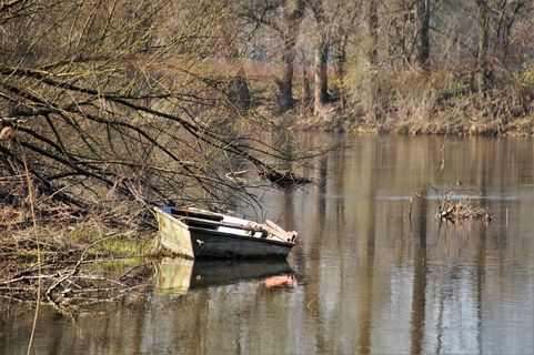 河流，自然，春天，森林，划船，旧的，废弃的，水