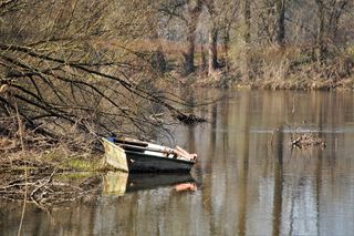 河流，自然，春天，森林，划船，旧的，废弃的，水