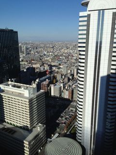 新宿，建筑物，新宿，建筑，建筑物摩天大楼城市，摩天大楼，城市景观，城市天际线，城市场景