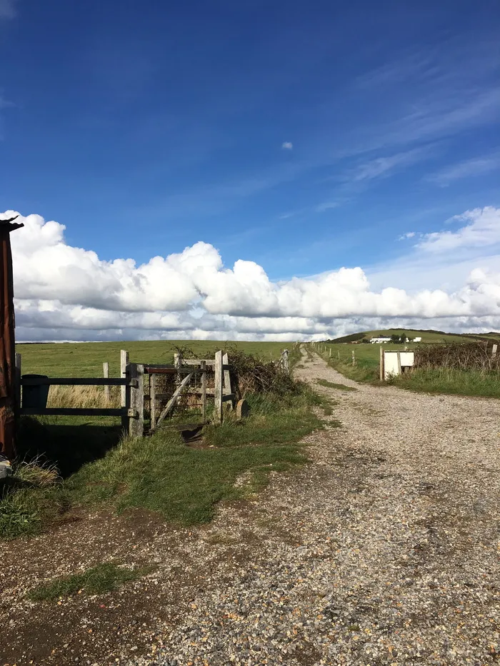海岸小径、雏鸡、多塞特、天空、云天、景观、自然、环境