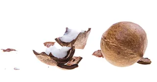 椰子，椰子，椰子，椰子，椰子，白，水果，背景