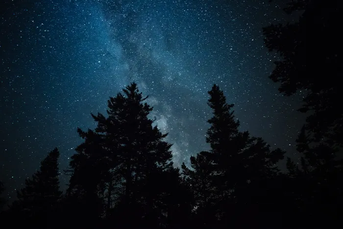 星空下的树影