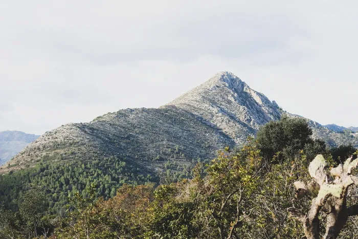 山景