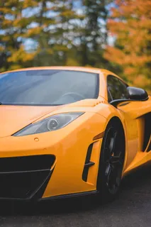 树旁的橙色跑车