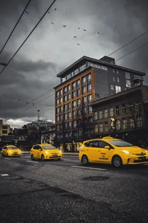 汽车、交通工具、车辆、汽车、出租车、出租车、鸟类、动物